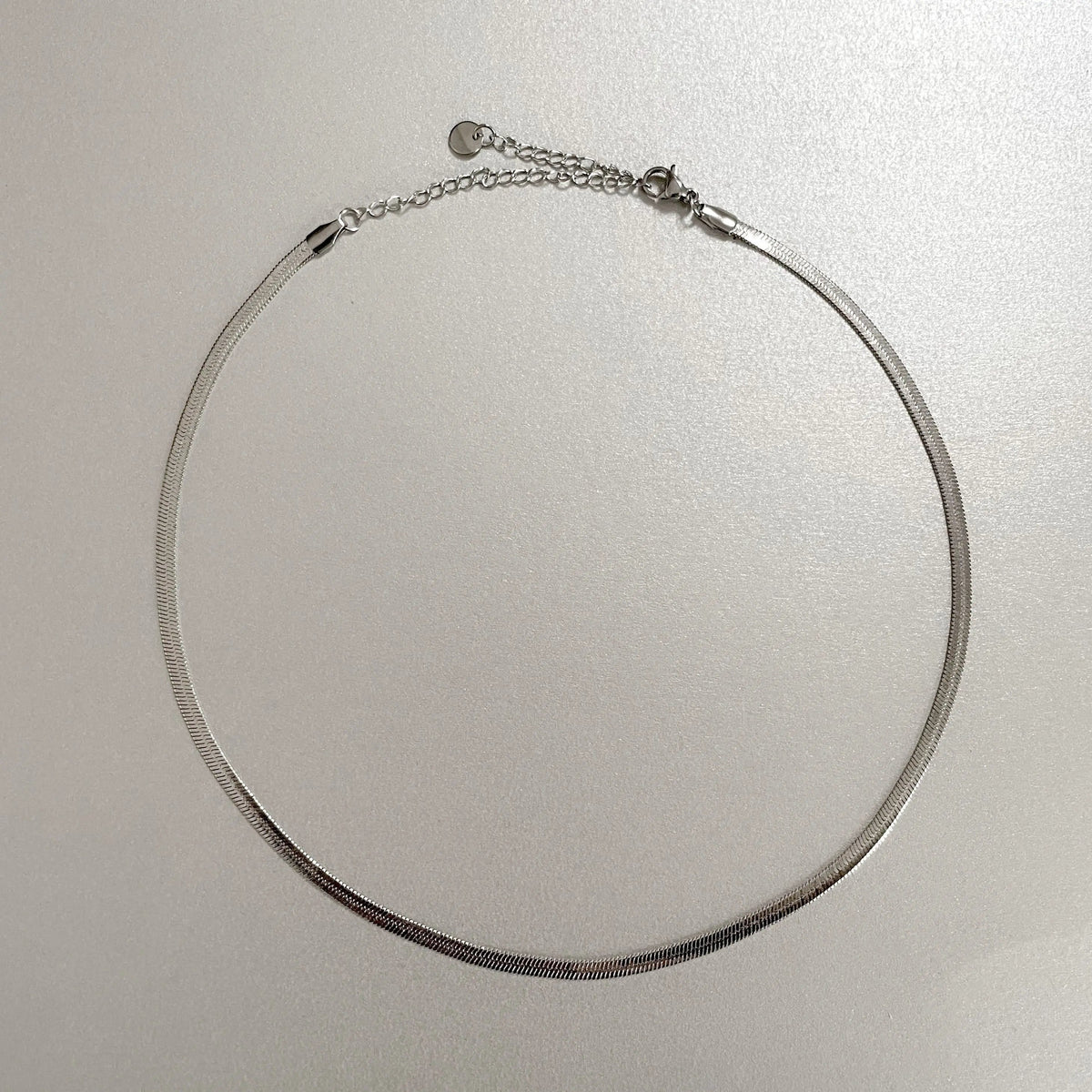 Catalina Luxe Silver Choker Necklace